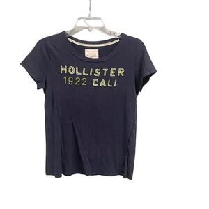 Y2K Hollister Baby Tee Logo Patch Size Large Blue Green Casual